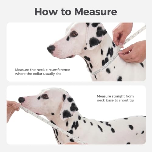 Avont 2026 Upgraded Dog Recovery Collar, Breathable Elizabethan Collar, XL | Soft Dog Cone Alternative After Surgery to Stop Licking, Foldable/Adjustable/Secure-Fit for Medium Large Dogs, Blue - color: Blue, size: XL Neck:(18.9"-20.5") Depth:(11.0")