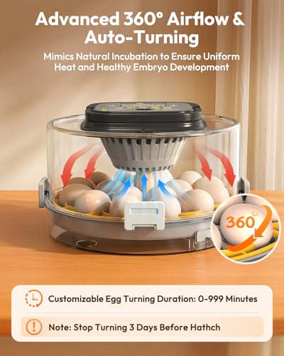 Egg Incubator for Hatching with Temperature Control