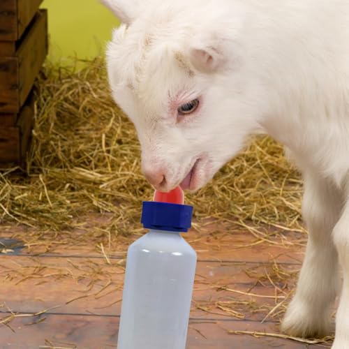 UPKOCH 6 Pcs Goat Nipples for Feeding Baby Goats, Red Rubber Lamb Nipple Milk Bottle Pacifier, Orphaned Sheep Small Animal Feed Supplies