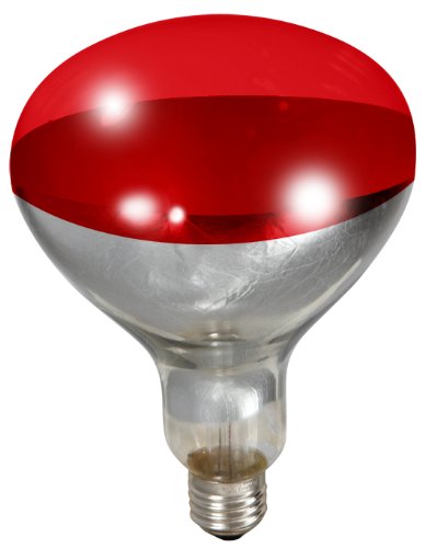 Little Giant® Bulb for Brooder Lamp | Heat Lamp | 6000 Hour Life | 250 Watt | Red Bulb - color: Red
