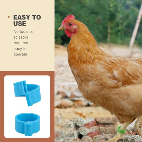 100 Pcs Chicken Leg Bands 16mm Colorful Numbered Poultry Tags for Identification Clip on Leg Rings for Ducks Chicks Goose Gamefowl Turkey Birds