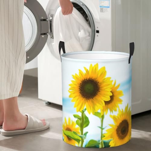 Laundry Basket Flower Plants Collapsible Large Capacity, 63L Dirty Clothes Basket Durable Lightweight Hamper With Handles Ideal For Clothes,Toys Home Organization,19.6in *15.7in, - color: plants