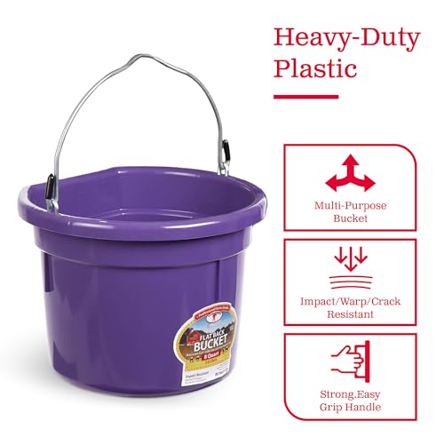 Little Giant P8FBPURPLE 2 Gallon All Purpose Heavy Duty Farm Flat Back Plastic Buckets for Supplies, Toys, Laundry, and Water, Purple, (2 Pack)