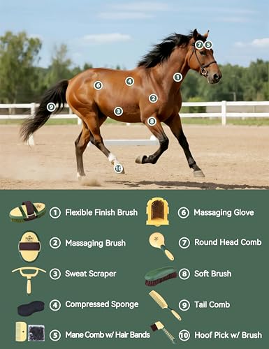 11-Piece Horse Grooming Kit with Waterproof Tote Pasture Glow | 10 coordinated horse grooming tools with comfort-grip designs and a spacious waterproof tote for complete horse grooming - color: Pasture Glow
