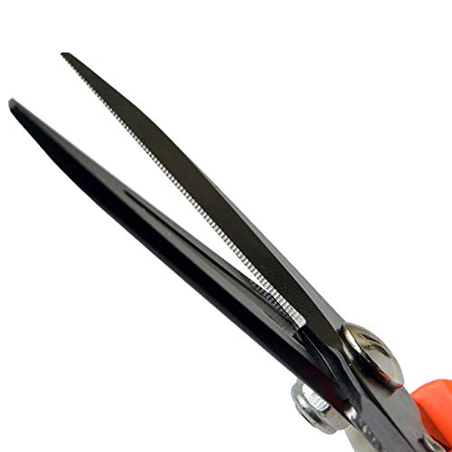 Hoof Trimmers Goat Hoof Trimming Shears Nail Clippers for Sheep, Alpaca, Lamb, Pig Hooves Multiuse Carbon Steel Trimmer