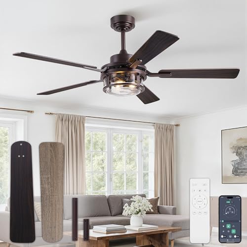 Fanbulous 52" Farmhouse Ceiling Fan with Light and Remote App, DC Motor | Rain Glass Shade, 6-Speed Reversible, Downrod Mount, Double-Sided Blades for Bedroom, Living Room Oil Bronze - color: Oil Rubbed Bronze