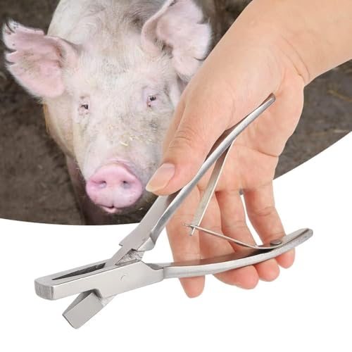 Pig Ear Tag Pliers, Stainless Steel Animal Identify Tool for Pig Equipment Farm Animals Stainless Steel Pig Ear Tag Plier(V shape)