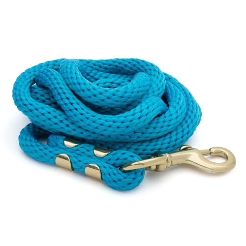 Weaver Equine Performance Lead Rope, Lime Zest, 8' Horse Value Rope with Brass Plated 225 Snap, Soft Comfort Grip, Barn Horse Tack for Daily Use - color: Hurricane Blue