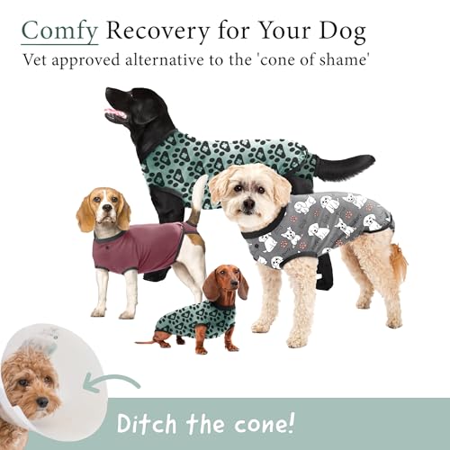 Dog Surgery Recovery Suit, Male Female After Spay Neuter Onesie | Soft Breathable Cotton, Anti-licking Cone Alternative, Protects Stitches & Abdominal Wounds, Patented Clip-up Potty System - color: Harbor Grey, size: Small