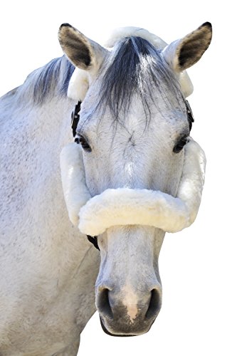 Merino Sheepskin Halter Fleece Set for Horses, 100% Natural Wool, Chafe Protection, Breathable Relief & Cushioned Comfort, Machine Washable, 4-Piece Set, Cream - color: Cream