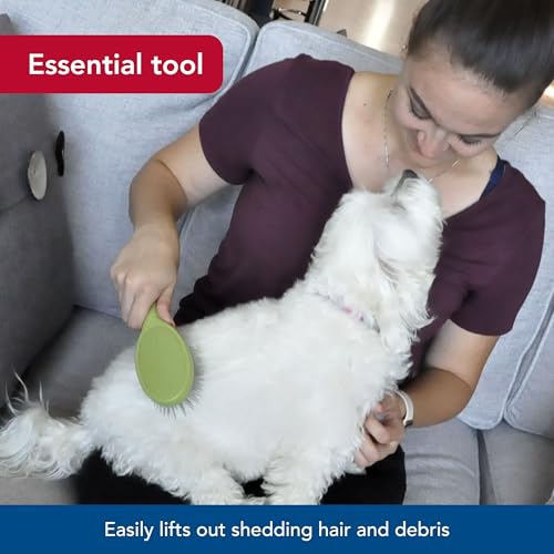 Coastal Pet Safari Wire Pin Brush - No-Slip Plastic Handle for Short and Long Pet Hair - 9.25" x 2.5" Compatible Grooming Tool - size: Large