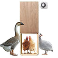 Opener with Timer Included | Auto Vertical Sliding Pop Door for Poultry