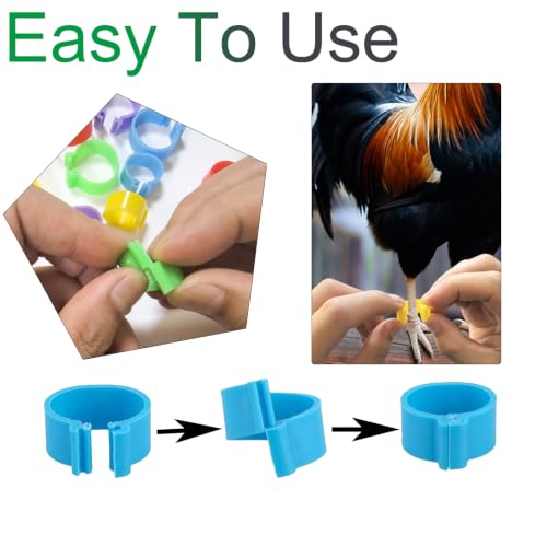 110PCS Chicken Leg Bands,Multicolor Chicken Identification Bands with 3 Sizes,Plastic Leg Bands Snap-On Poultry Leg Rings for Chickens Ducks Goose Quails,Pigeons(0.4/0.6/0.7inch)