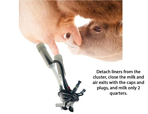 Melasty Cow Milker Claw Cluster Complete with Large Silicone Liners, Stainless Steel Shells, 200cc Milking Claw, Air Tubes, and Caps & Plugs Kit Replacement Part for Any Brand Milking Machine