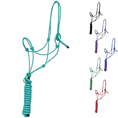 Majestic Ally 1/4" Rope 4 Knot Stiff Polyester Training Halter with 10’ Matching Lead Rope for Horses – Full (Turquoise, Full) - color: Turquoise, size: Full