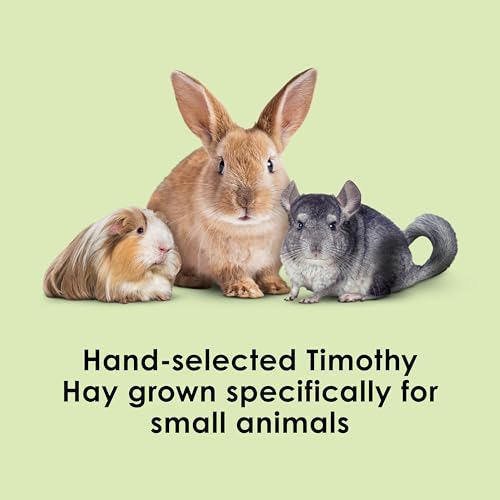Kaytee Timothy Hay, High Fiber for Rabbits, Guinea Pigs, 48 Ounces | Supports digestive health. Hand-selected rabbit hay. Guinea pig hay, chinchilla hay, pesticide free - size: 12 Pound (Pack of 1)