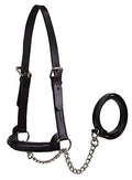 Derby Originals Premium Raised Padded Fancy Stitch Leather Cattle Show Halter with Matching Chain Lead - color: Black, size: Large (950lbs-1500lbs)