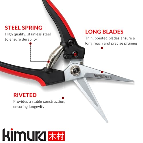 Kimura® 8" Pro Pruning Scissors, Premium Japanese SK5 Hi-Carbon Steel Blades, Non-Slip Vinyl Coated Handles, Lightweight & Ergonomic, Multi-Tasking Pruning Shears, Garden Snips, Precision Clippers - size: 8.2"