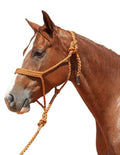 Cashel Flat Braid Halter and Leadrope - color: Copper