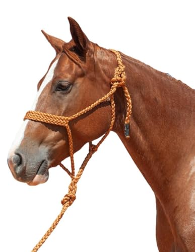 Cashel Flat Braid Halter and Leadrope - color: Copper