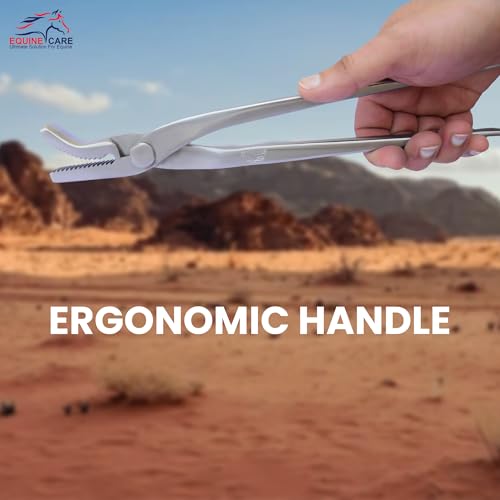 Hoof Clincher 12 Inch Alligator Jaw Horse Farrier Tools | Chrome vanadium steel horseshoe nail clincher for turning down nail ends; 12 inch farrier pliers for shoeing and hoof care - style: Alligator Jaw