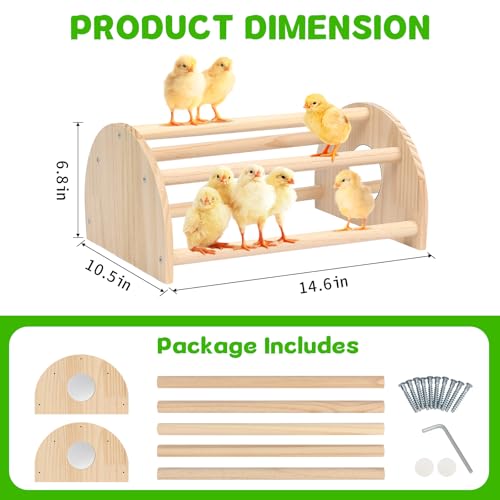 Pine Chicks Perch with Mirror, Strong Chick Jungle Gym Roosting Bar, Chicken Perch Toys for Coop and Brooder, Training Perch Toys for Large Bird, Parrot, Macaw, Hens (Large) - size: Large