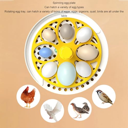 Small Incubators for Hatching Eggs, Mini Egg Incubator for Home Automatic Temperature Humidity Control Eggs Candler Poultry Hatching Machine for Chickens Ducks Pigeons (Auto - size: Auto Turning