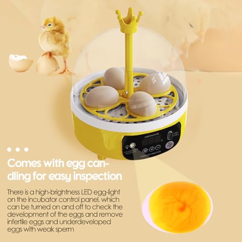 Egg Incubator with Manual Egg Turning & Humidity Control, Incubators for Hatching Eggs, Poultry Incubator for Chicken Duck Goose Quail Bird Eggs, for Kids (Manual)