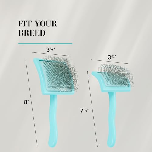 Chris Christensen Big G Dog Slicker Brush for Dogs (Goldendoodles, Labradoodles, Poodles), Groom Like a Professional, Fluff Detangle Style, Saves Time Energy, Teal, Medium - color: Teal, size: Medium