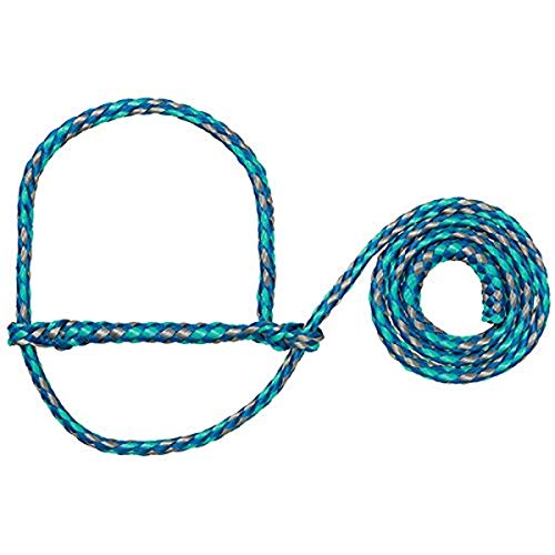 Weaver Leather Poly Rope Sheep Halter Bundle (Mint/Black/Gray and Blue/Mint/Gray)