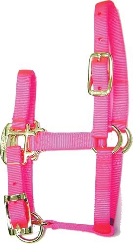 Hamilton Quality Adjustable Horse Halter, 100-200 lbs, Hot Pink | Premium Quality 3/4" Triple Ply Nylon, Pony/Mini Donkey, Adjustable Chin Strap, Rolled Throat, Brass Plated Hardware - color: Hot Pink, size: Pony, 100-200lbs
