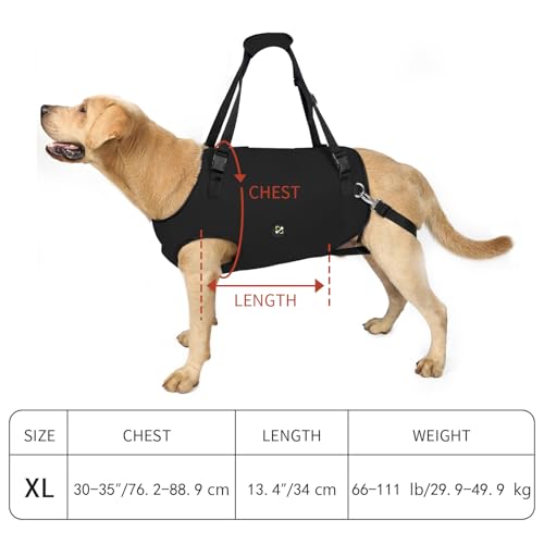 Coodeo Dog Lift Harness, Pet Support & Rehabilitation Sling Lift Adjustable Padded Breathable Straps for Old, Disabled, Joint Injuries, Arthritis, Loss of Stability Dogs Walk (Black, XL) - color: Black, size: Extra Large