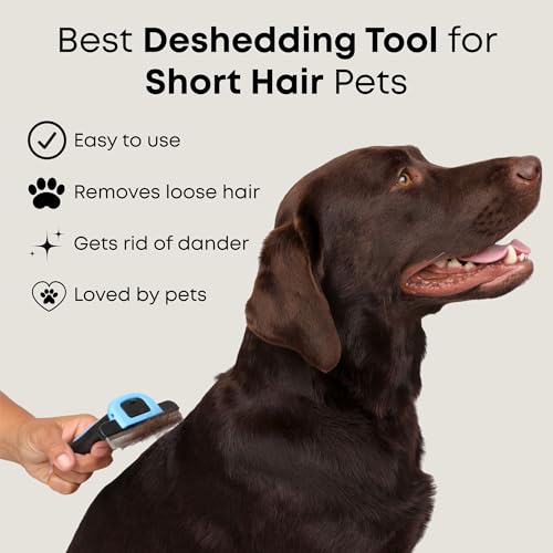 Short Hair Deshedding Brush for Dogs & Cats - Grooming Comb | Short-hair Deshedder Grooming Comb for Dogs and Cats to Loosen and Remove Shedding Fur