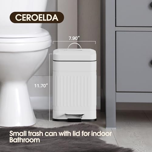 CEROELDA Small Trash Can with Lid-5L/1.3 Gal, Stainless Steel Outdoor Dog Poop Garbage Can-Farmhouse Retro Metal Waste Bin w/Step Pedal for Bathroom Bedroom Office-Soft Close-White - color: White