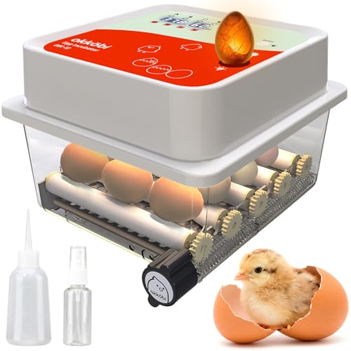 OBI-12 Egg Incubators for Hatching Eggs – Incubator for 12 Eggs with Automatic Egg Turner - Brooder for Chicken Eggs, Quail, and Duck Eggs - Orange - color: Orange