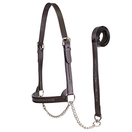 Derby Originals New and Improved Premium Crystal Bling Rhinestone Inlay Flat Leather Cattle Show Halter with Matching Chain Lead - color: Havana, size: Small (350-700lbs)