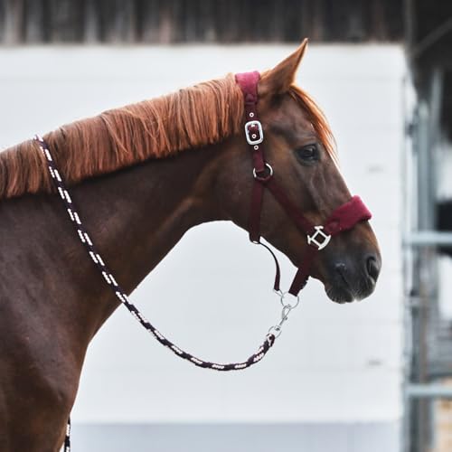 HORZE Kiel Adjustable Horse Halter with Fleece Padding - Dark Red - Cob - color: Dark Red, size: Cob