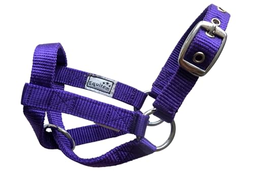 Livestock Goat Halter. Small, Medium, Large – Safe & Adjustable for Milking, Training, and Travel. (Purple, Small (29"–32")) - color: Purple, size: Small (29"–32")