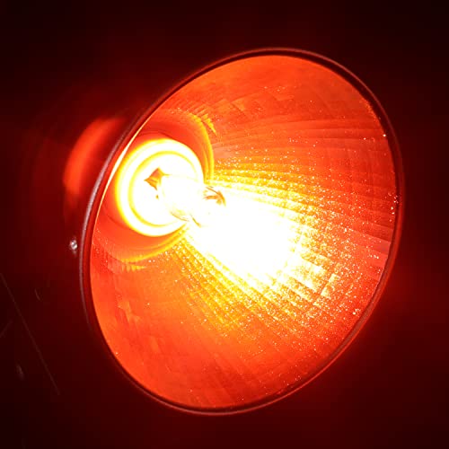 3 Pack G9 Infrared Heat Lamp Bulbs - Dimmable Night Red UVA Reptile Heat Lamp, 2 Pin Base Mini Reptile Light Bulb Replacement (50 Watt)