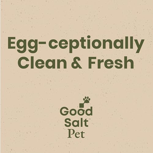 Egg Wash for Fresh Eggs, All-Natural Formula, 32oz Spray | Fresh Chicken & Duck Eggs, Hypochlorous Acid, Remove Dirt, Food Safe, Fragrance-Free, Non-Toxic Cleaner, No Chemical Residue - size: 32 Fl Oz (Pack of 1)