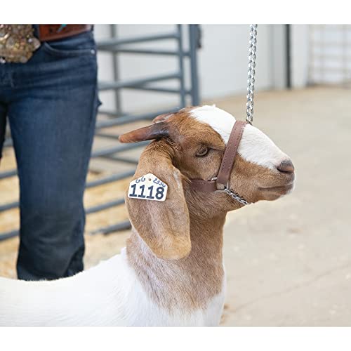 Weaver Livestock Brahma Webb Goat Halter, Medium, Brown - size: Medium