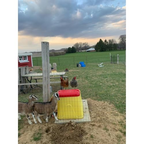 Ritchie Genesis G1 Automatic Livestock Horse Fount Waterer 18880 - NOT Heated.