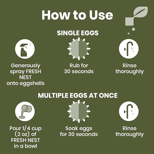 Egg Wash for Fresh Eggs, All-Natural Formula, 32oz Spray | Fresh Chicken & Duck Eggs, Hypochlorous Acid, Remove Dirt, Food Safe, Fragrance-Free, Non-Toxic Cleaner, No Chemical Residue - size: 32 Fl Oz (Pack of 1)