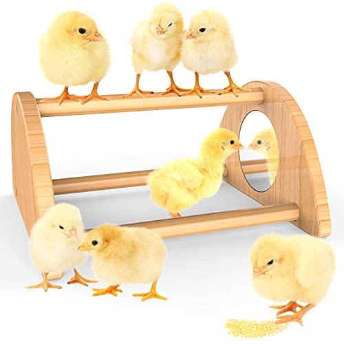 Mini Chick Perch with Mirror, Bamboo Roosting Bar | strong roosting bar for coop and brooder, training perch for large birds, hens, parrots, macaw, easy assemble&clean,fun toys