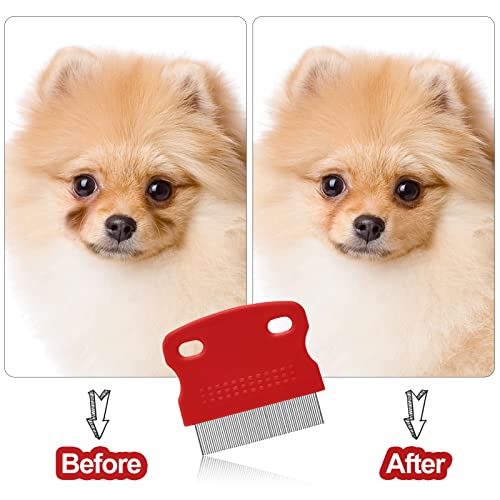 5 Pieces Dog Eye Combs Tear Stain Remover Combs Pet Grooming Comb for Small Dogs Gently Removing Eye Mucus and Crust (Red, Black) - color: Black