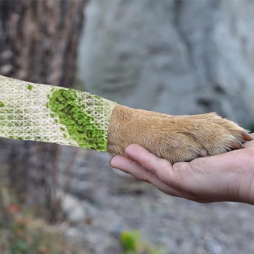 6 Rolls Self-Adhesive Bandage Wrap Non-Woven Vet Wrap Cohesive 2Inchx5yard for Dogs Cats Horse Leg Pet Animals Wounds Wrist Healing Sprains & Swelling Fruit Print - color: 6Rolls 2Inchx5yard Fruit