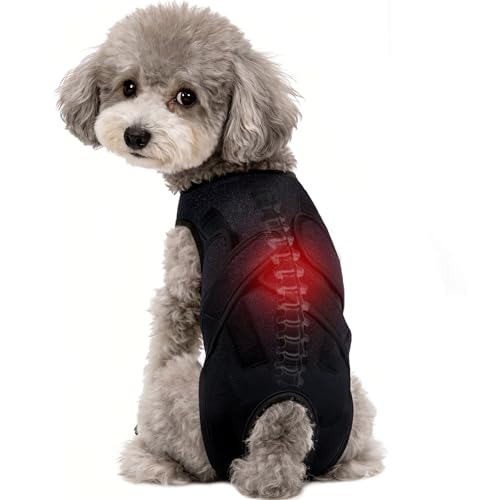 Dog Back Brace for IVDD Recovery, Adjustable Dog Spine Support Harness for Dachshund Corgi French Bulldog Pug, Pain Relief Back Protector for Senior,Post‑Surgery,Long‑Bodied & Overweight Dogs, XS - size: X-Small