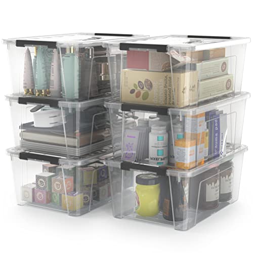 WYT Clear Storage Latch Bins, 6-Pack Storage Organizer Box with Handle and Lids, 5-Litre - color: Clear