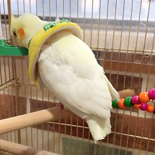 QBLEEV 4Pack Parrot Anti-bite E-Collars, Anti-Grab Feather Plucking Collars | Soft pet wound healing safety elizabethan collar, protective recovery cones for budgerigar lovebird agapornis fischer - size: L-Neck Girth(4.3"-5.1")