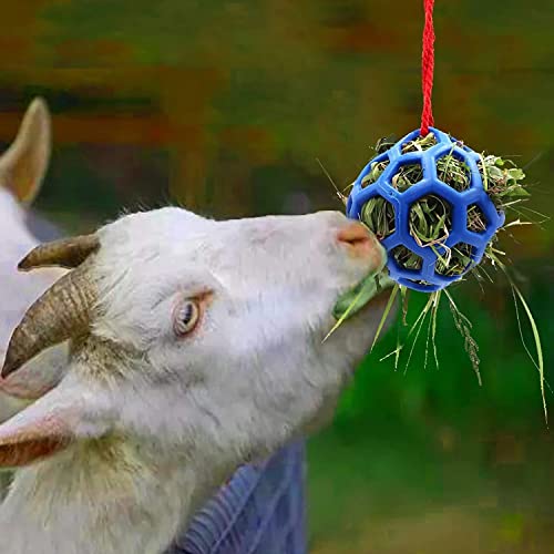 Horse Hay Feeder Ball with Rope, Durable Plastic Slow Feeding Ball for Horses, Equine Chew & Foraging Enrichment, Ideal for Hens Coop Goose Duck Large Birds (Blue)
